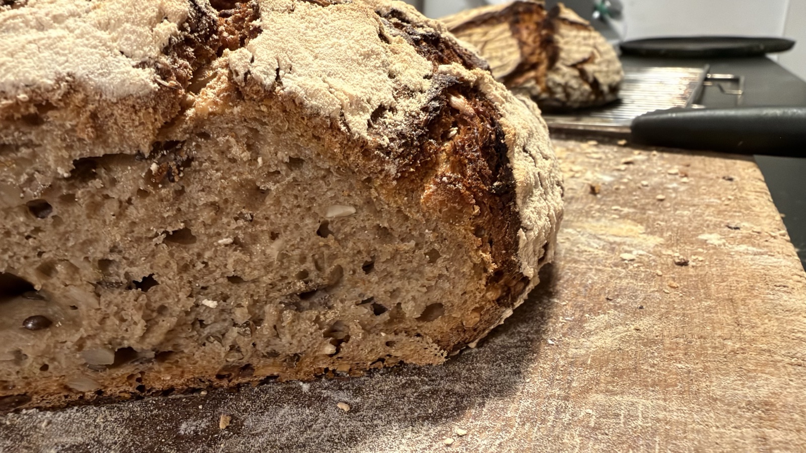 Angeschnittenes Roggen-Sauerteigbrot mit Körnern, Blick auf die Krume