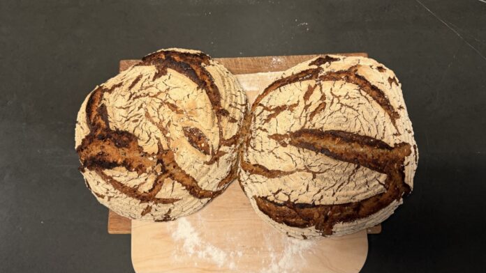 roggenbrot-sauerteig-koerner-iris-fertig Zwei Roggen-Sauerteigbrote mit Körnern frisch aus dem Ofen